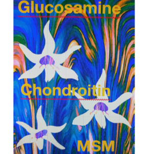 Glucosamine, Chondroitin and MSM: For Hip Dysplasia, Arthritis, Weak Tendons