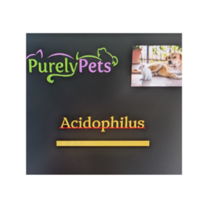 Acidophilus 90 grams (Powder) Treats Dog Pancreatitis, Yeast Infection in dogs, Feline Diarrhea And is a Probiotic For Dogs and Cats