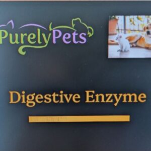 Digestive Enzymes- Digestive Aid - Chewable